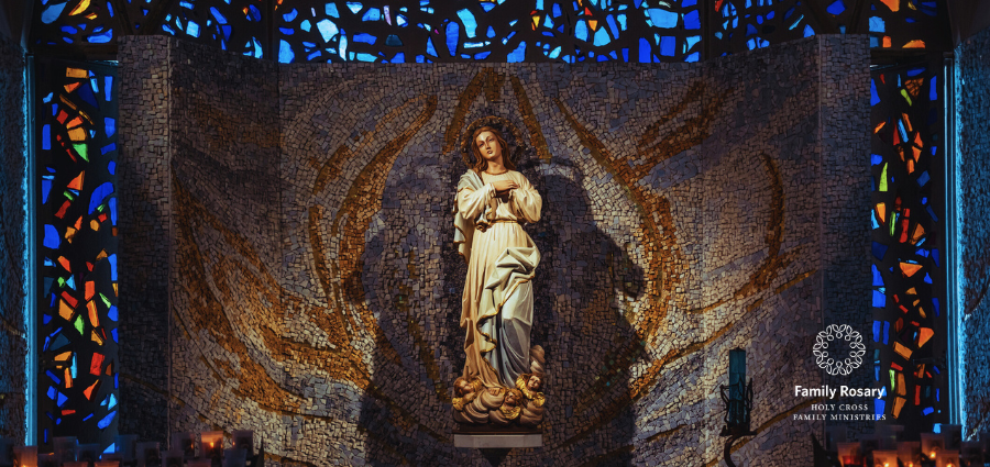 A Life of Sheer Heroism - Weekday Homily Video