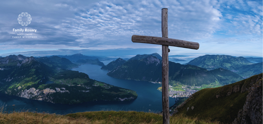 The Heights of Discipleship - Weekday Homily Video