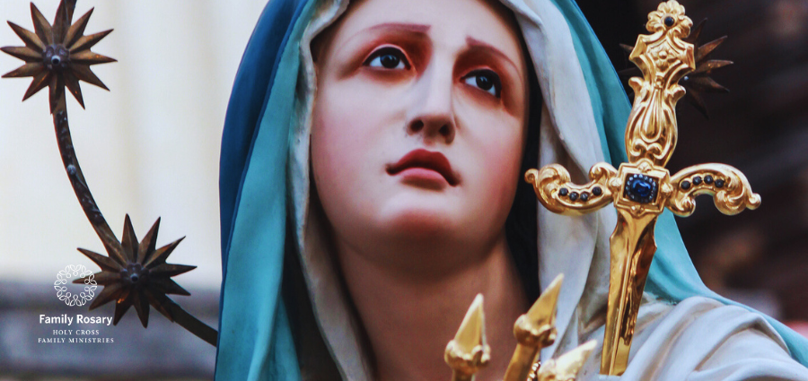 Hope Found Amid Sorrow - Weekday Homily Video
