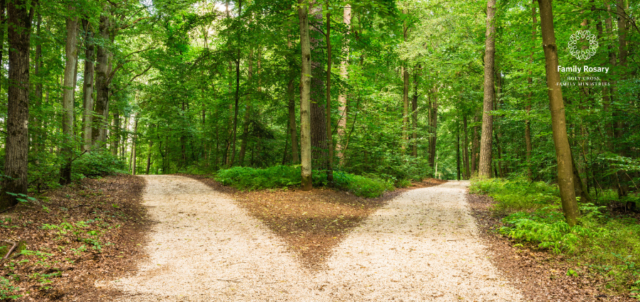 Choosing the Good - Weekday Homily Video