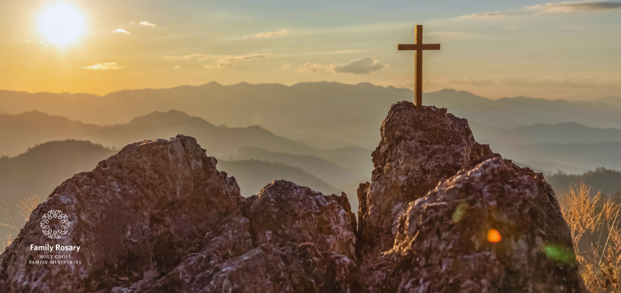 Giving Our All for the Glory of God - Weekday Homily Video