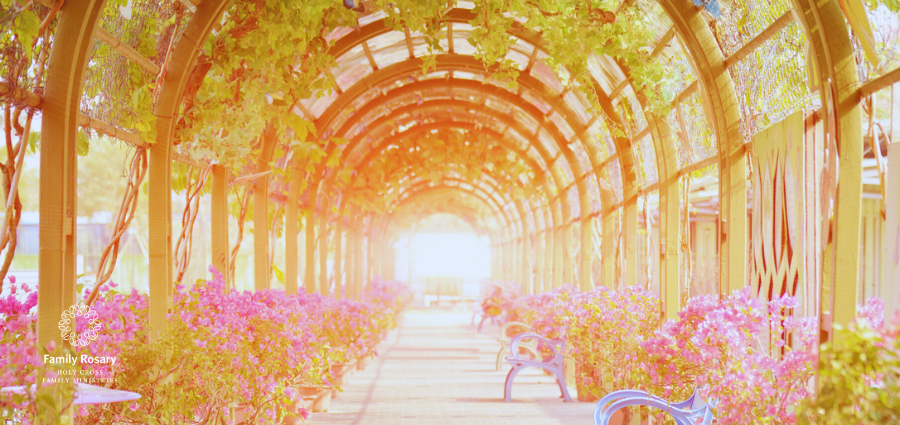 When the Rosary Becomes Your Refuge