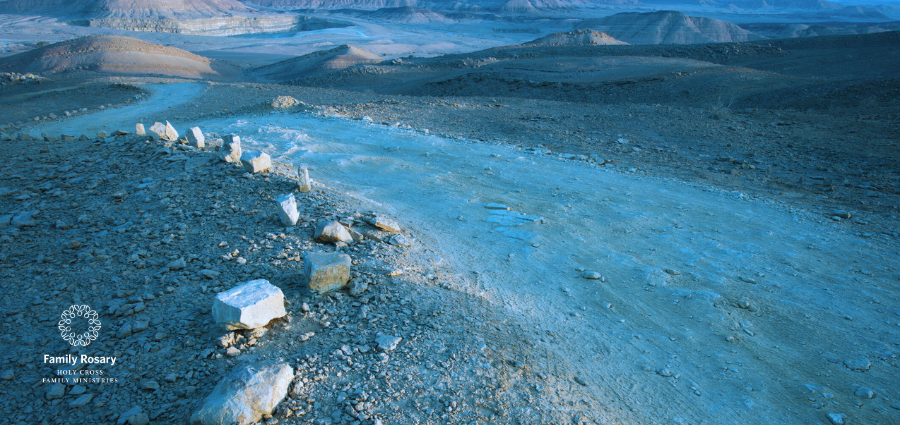 Crying Out to Jesus - Weekday Homily Video