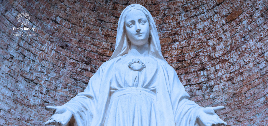 Mother Mary: A Model of Holiness - Weekday Homily Video