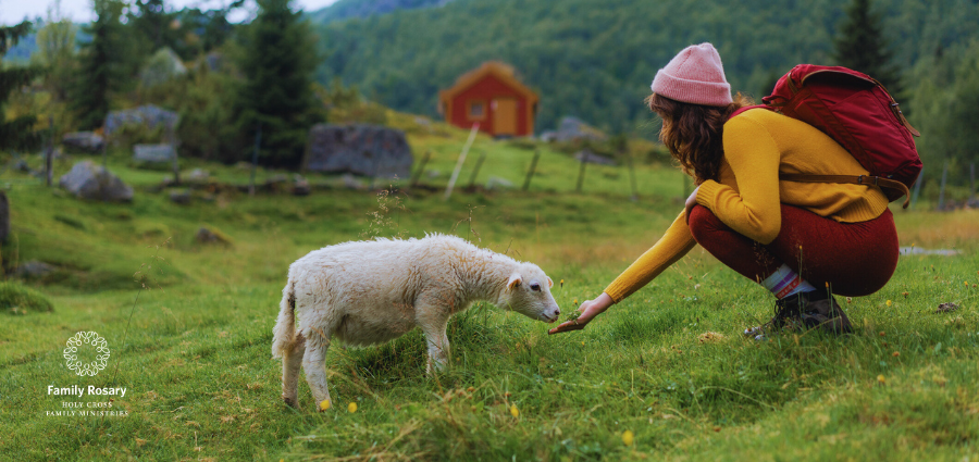 Reaching Out to the Lost Sheep - Weekday Homily Video