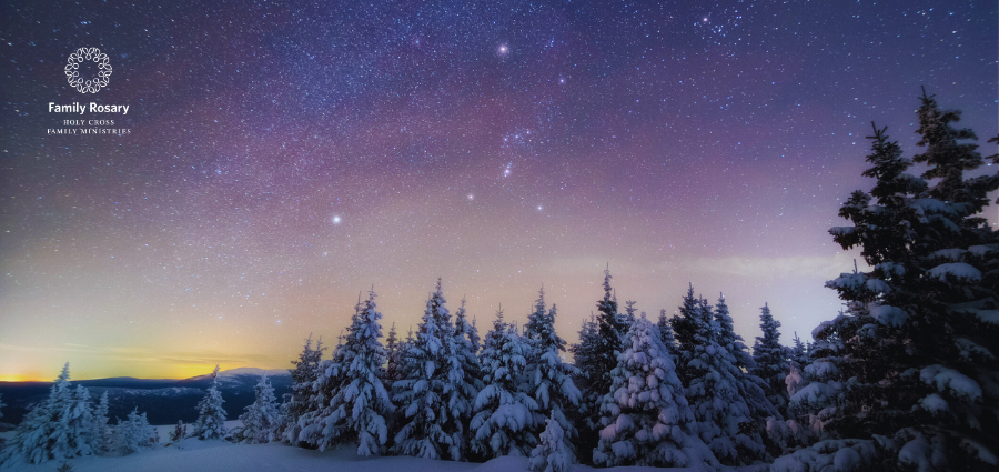 Reflecting Silently Like Saint Joseph - Weekday Homily Video