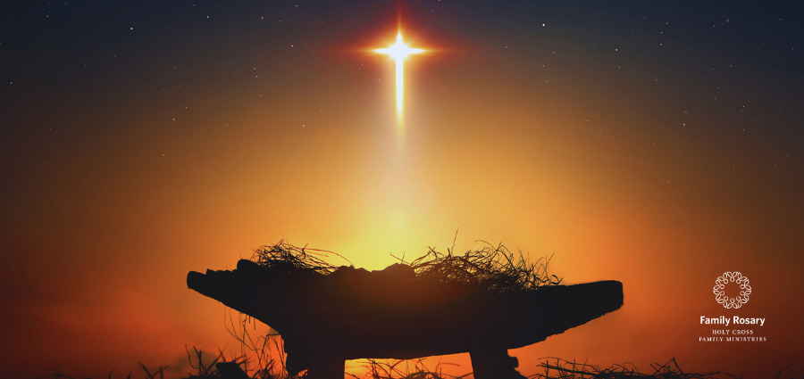 Giving Thanks to God - Weekday Homily Video