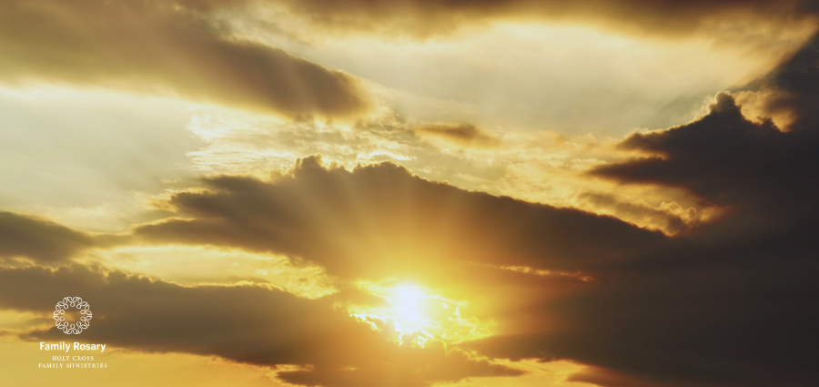The Ascension: A Reason for Hope and Courage - Weekday Homily Video