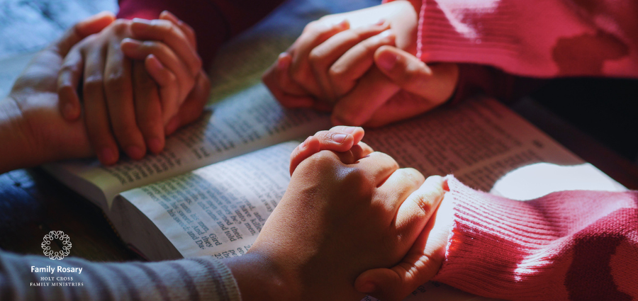 Finishing the Work Together as Families - Weekday Homily Video