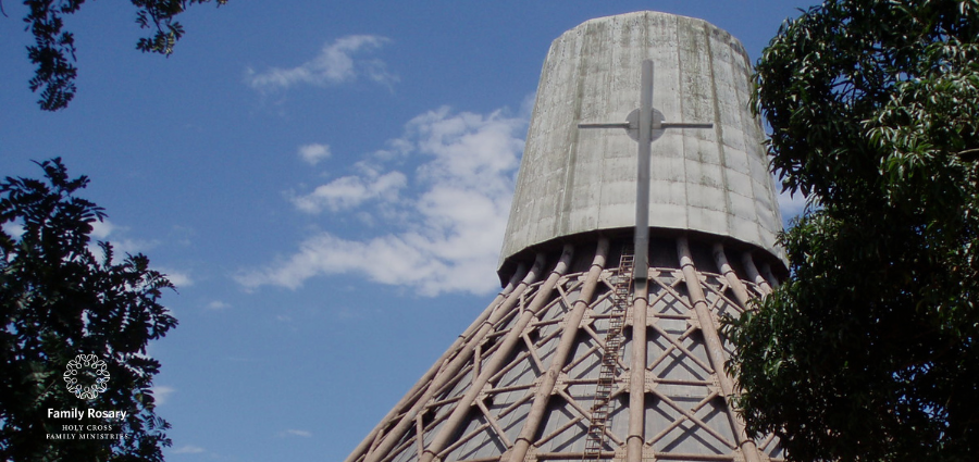 The Heroic Courage of the Uganda Martyrs - Weekday Homily Video