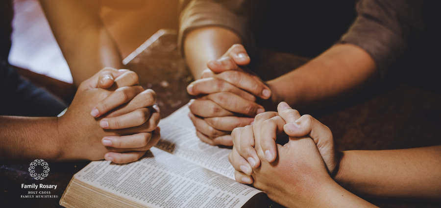 Carrying Each Other to Jesus - Weekday Homily Video