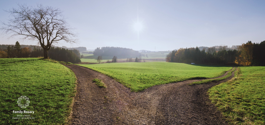 Choosing Responsibly - Weekday Homily Video