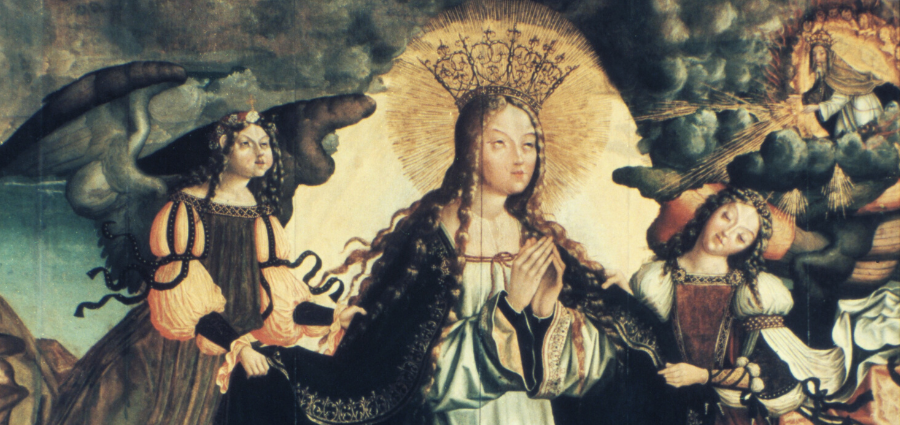 Celebrating the Assumption of Mary