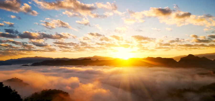 Love and Salvation - Weekday Homily Video