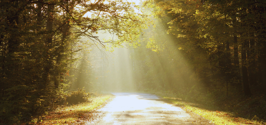 Attentive to the Spirit - Weekday Homily Video