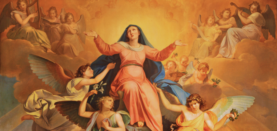 The Assumption of Mary - Weekday Homily Video