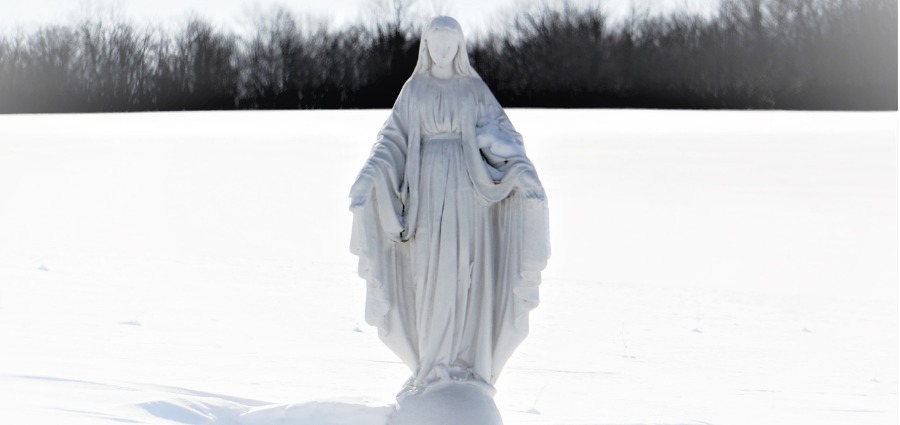 Mary, Our Mother: Family Reflection Video
