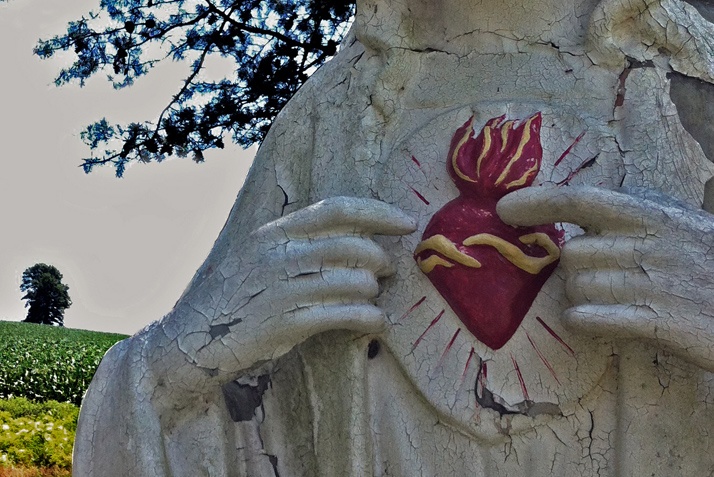 Family Reflection Video: The Solemnity of the Sacred Heart