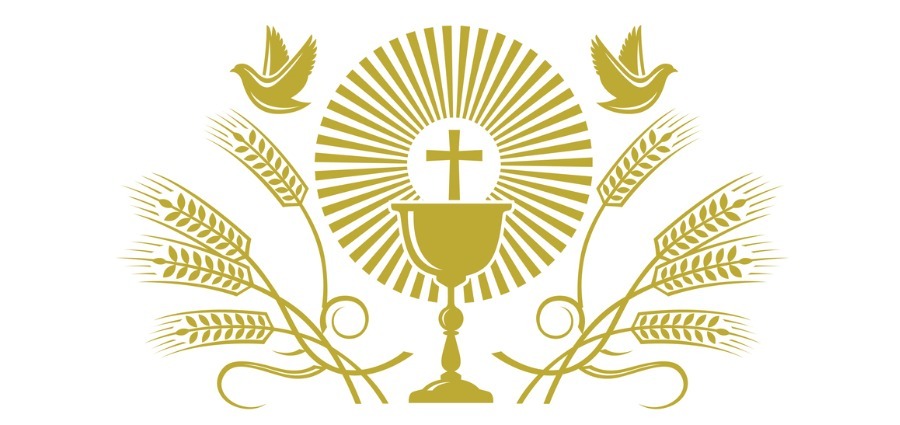 The Gift of Sanctifying Grace - Weekday Homily Video