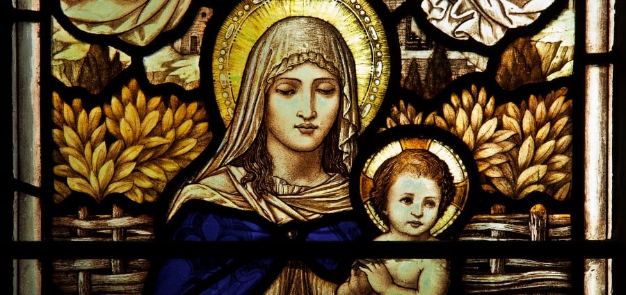 Celebrating the Birth of Mary - Weekday Homily Video