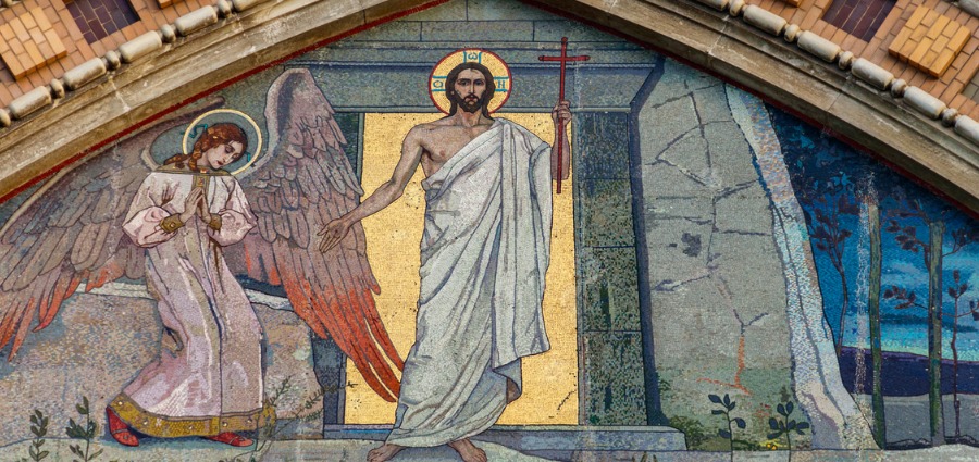 Witness to His Resurrection - Weekday Homily Video