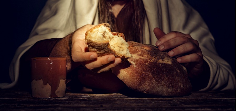 Set Free by Jesus – Weekday Homily Video