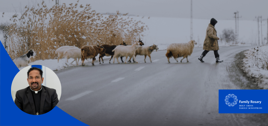 Crossing Roads to Follow the Shepherd - Weekday Homily Video
