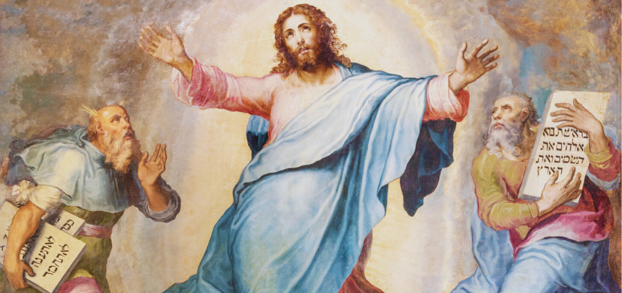 The Wonder of the Transfiguration - Weekday Homily Video