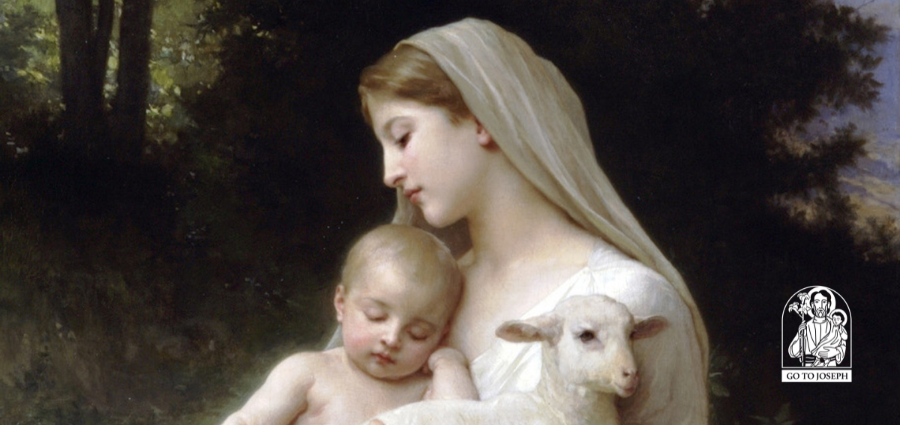 The Victory of a Mother’s Heart: A Tribute to Our Lady of the Rosary