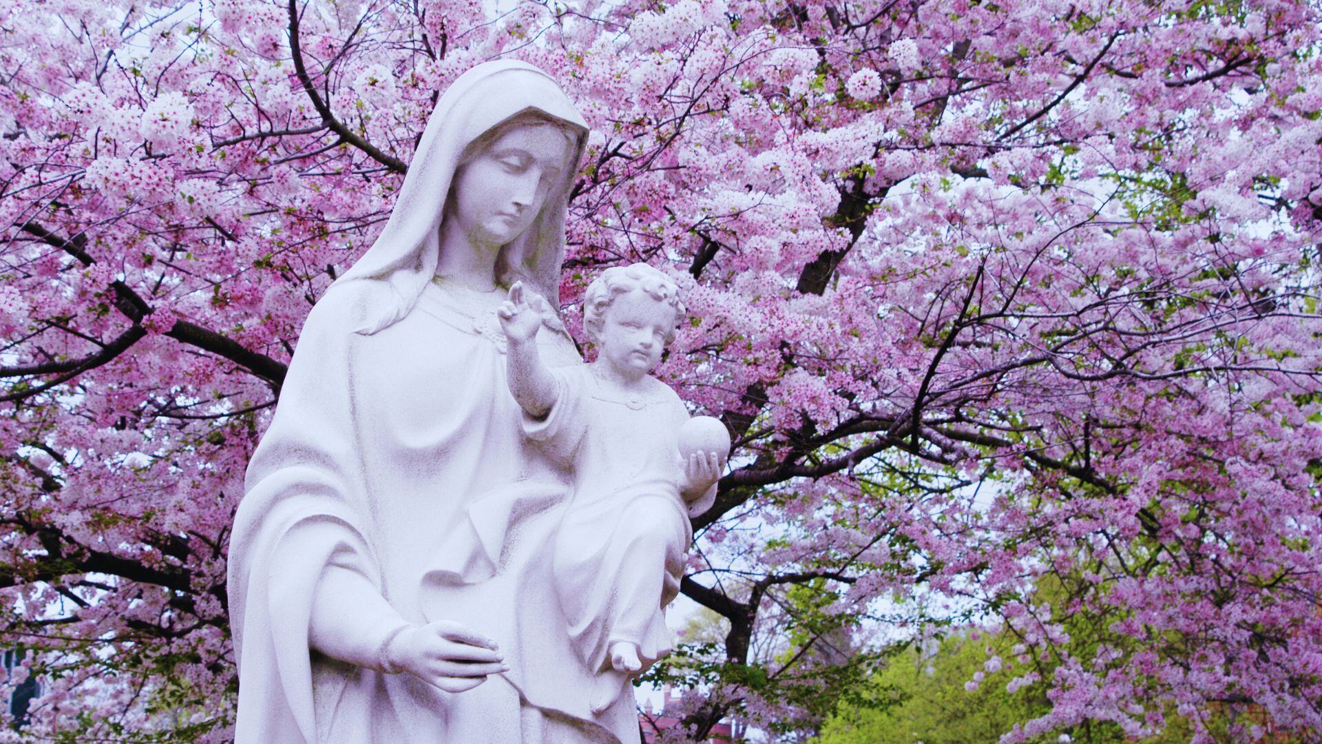 Daily Family Prayer