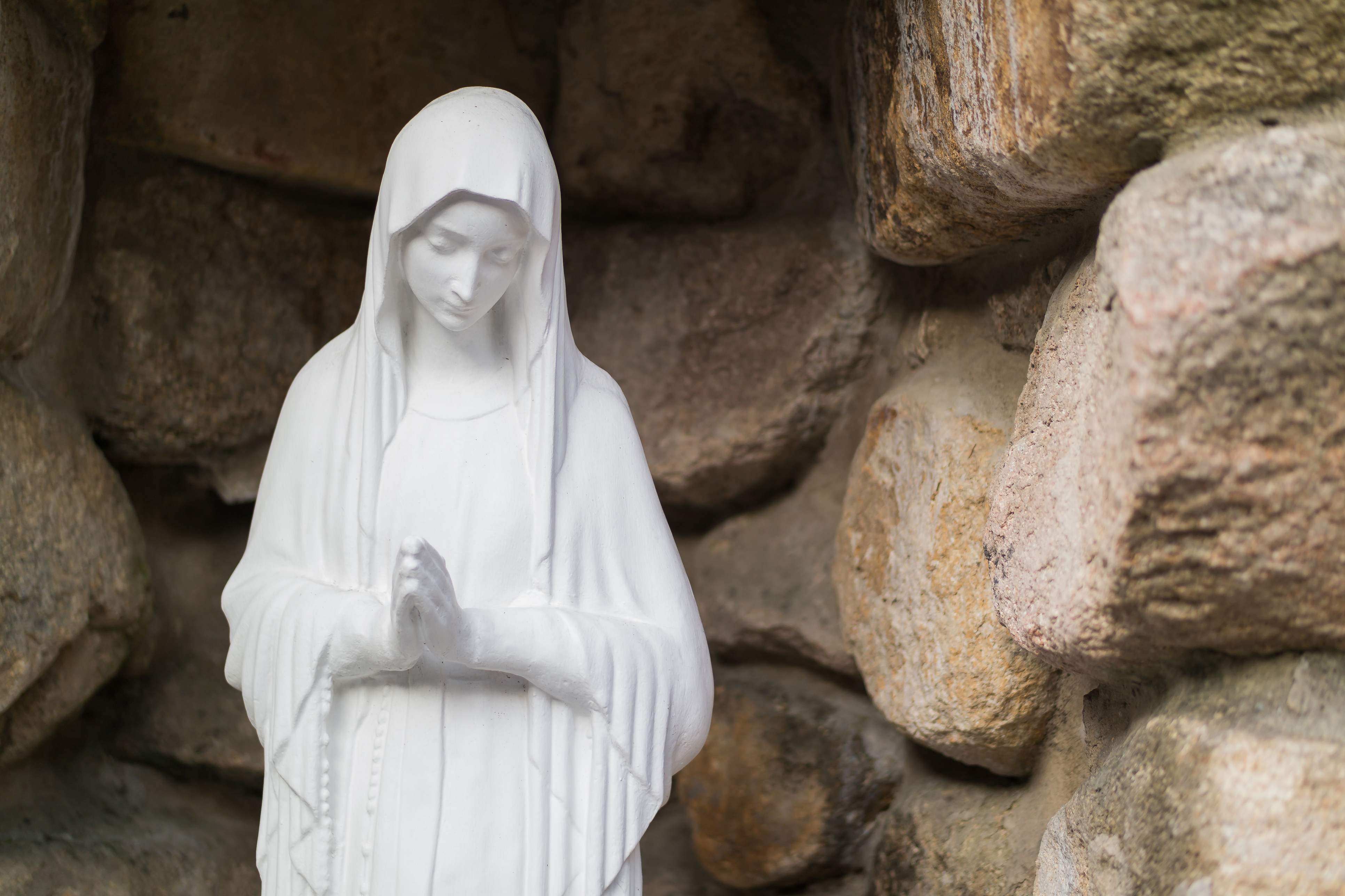 Solemnity Of The Immaculate Conception: Family Reflection Video