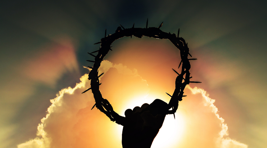 Proclaim and Heal - Family Reflection Video