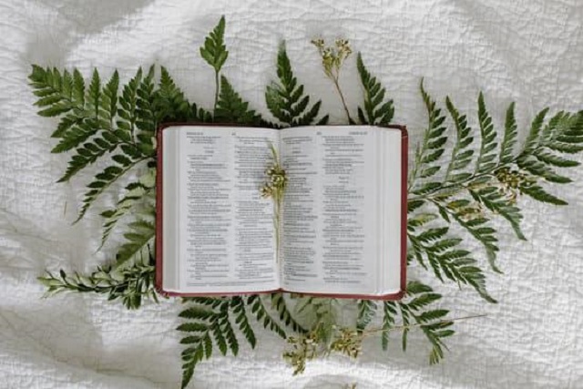 Daily Family Prayer
