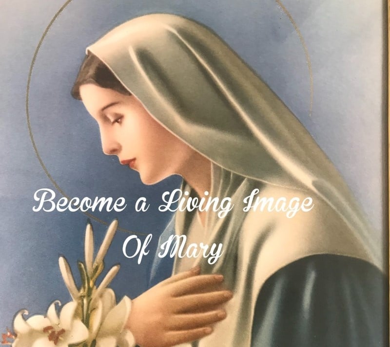 Becoming a Living Image of Mary