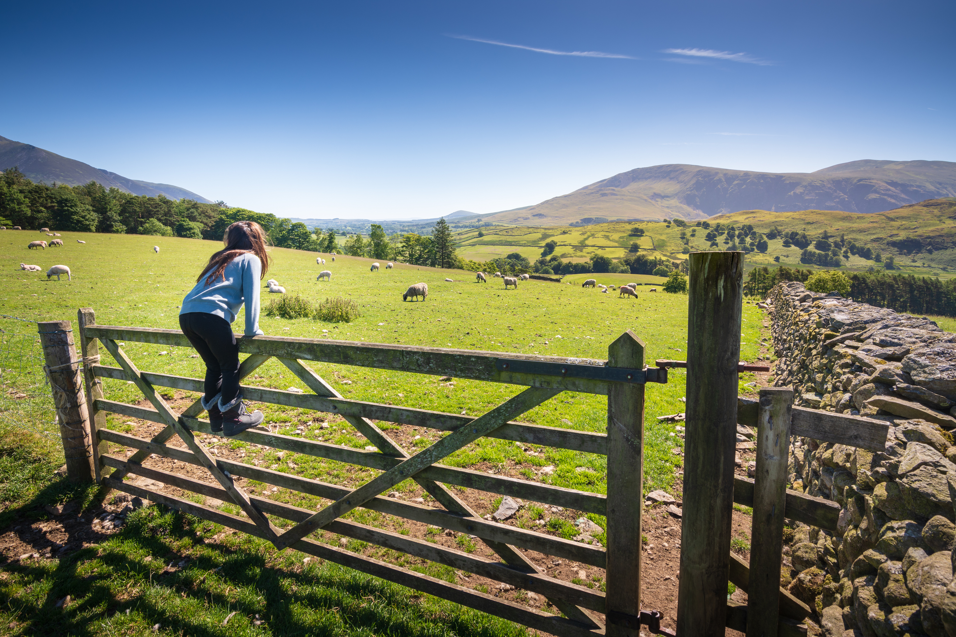 Following the Good Shepherd - Family Reflection Video