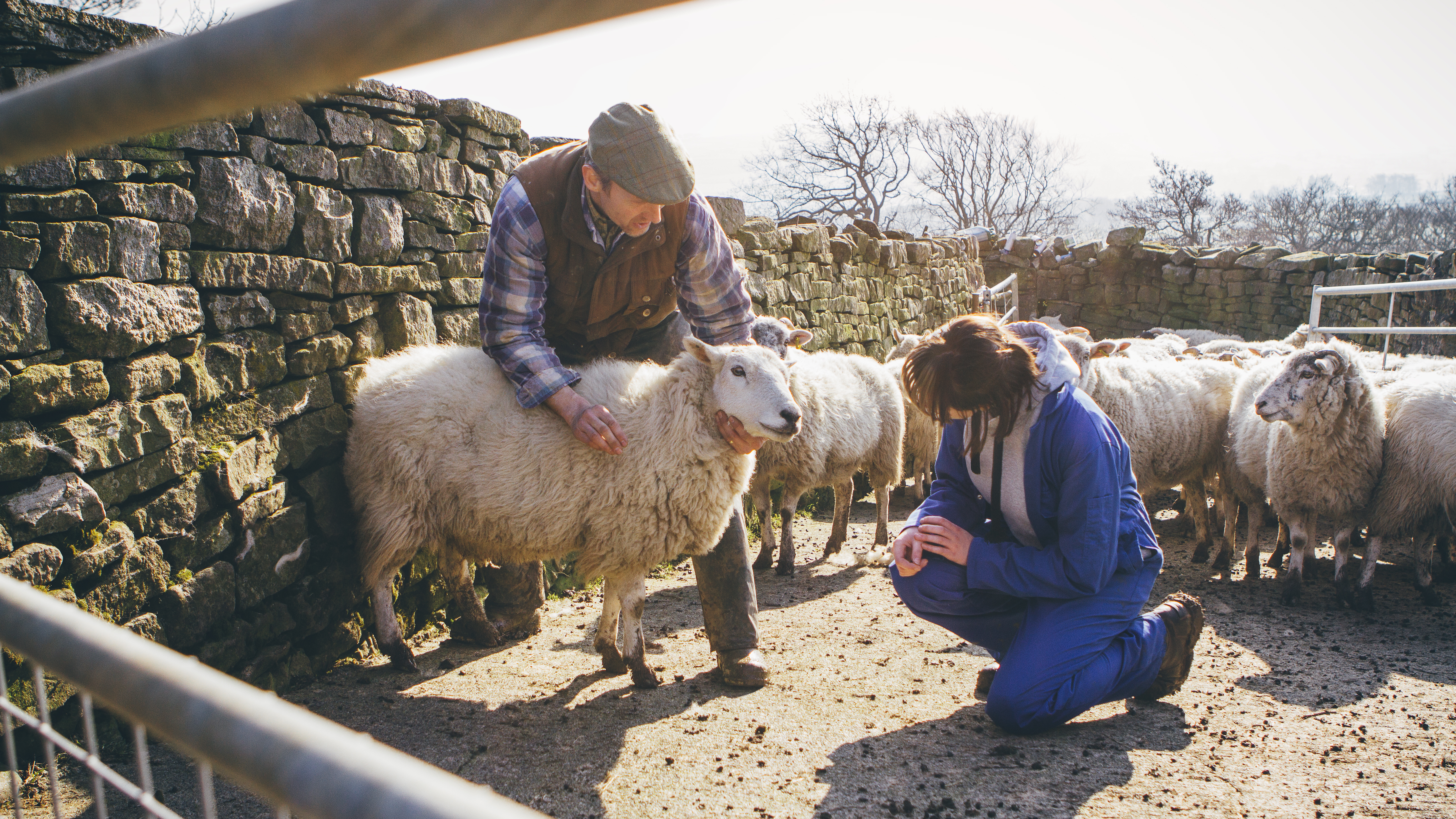 "Feed My Lambs" - Family Reflection Video